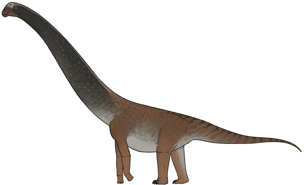 Titanomachya and the Puzzle of Shrinking Giants