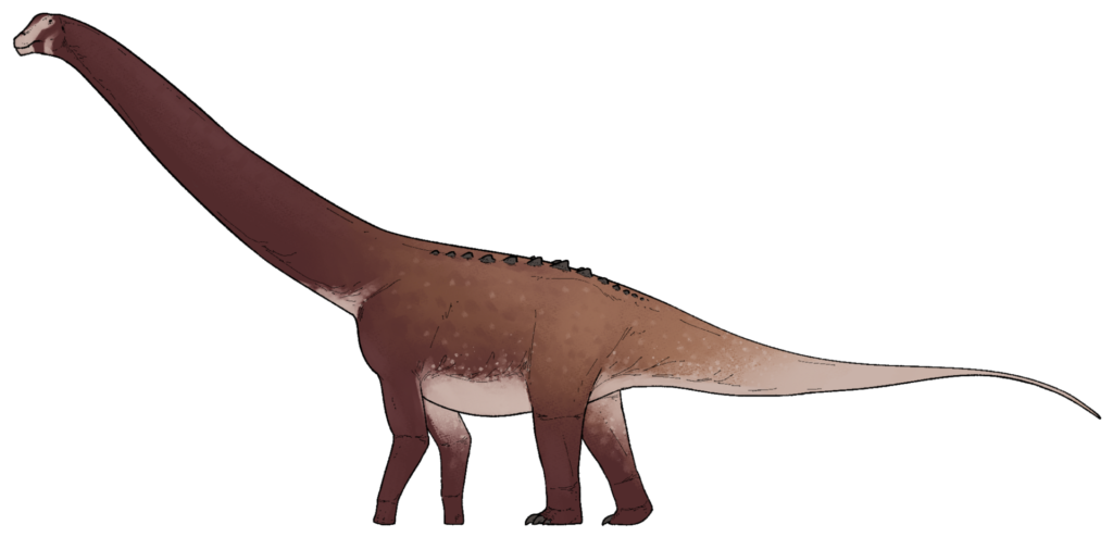 Yeneen Houssayi: A Brand New Species from Neuquén