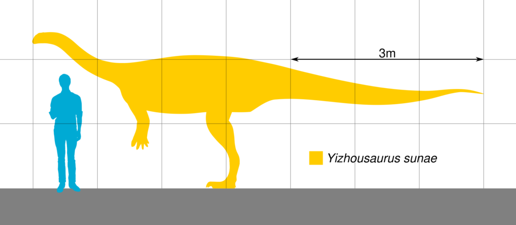 6. Yizhousaurus: The Almost‑Giant on the Road to Sauropods