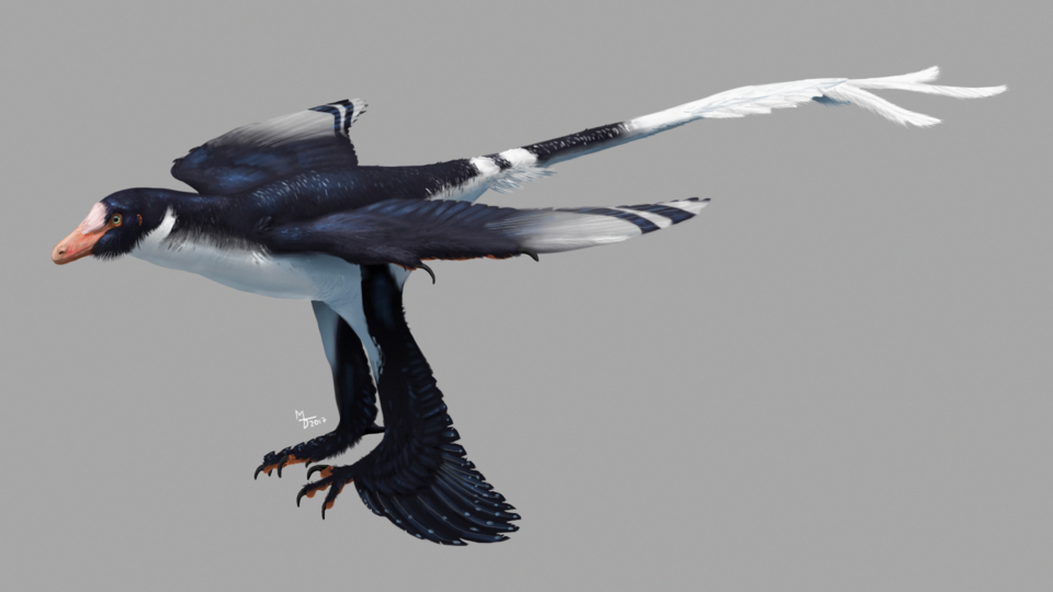 7. Some Tiny Dinosaurs Lived High in the Trees, Not Just on the Ground