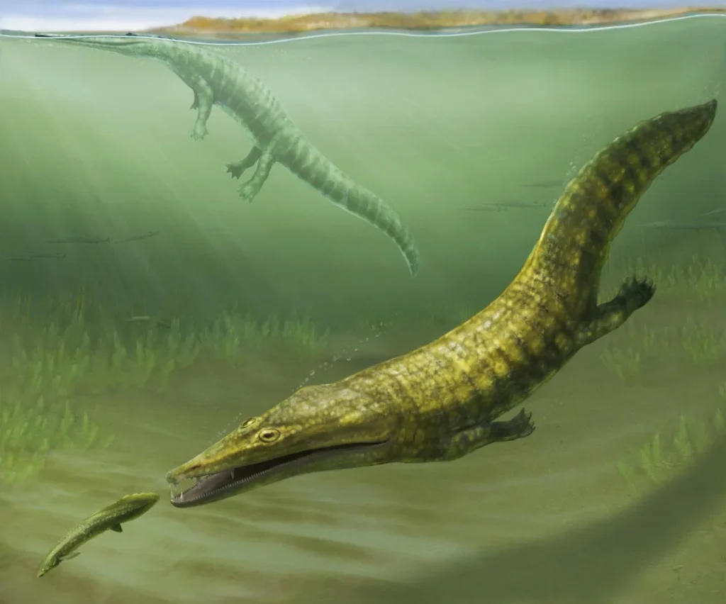 The Erythrobatrachus Fossils: Southern Hemisphere Secrets After the Great Dying