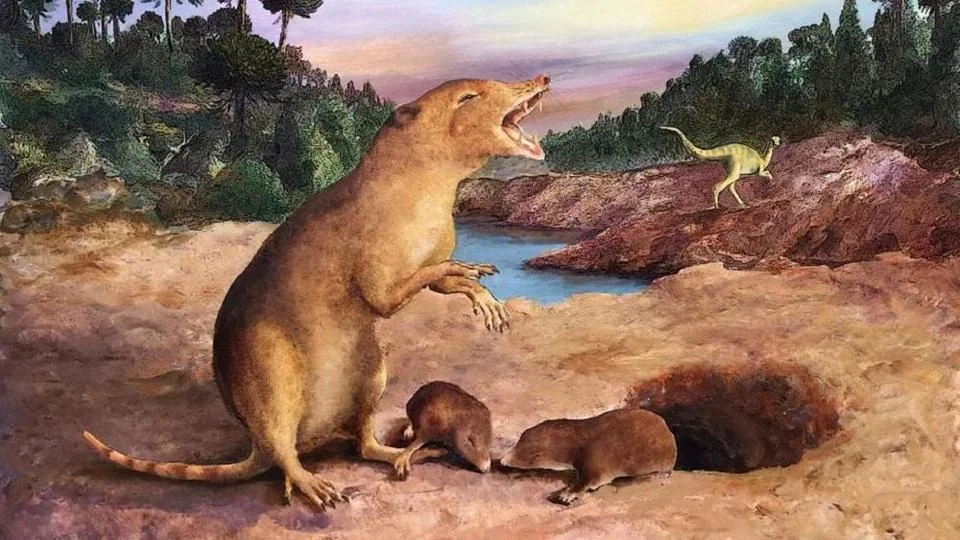 Eggs, Placentas, and the Surprising History of Mammalian Reproduction