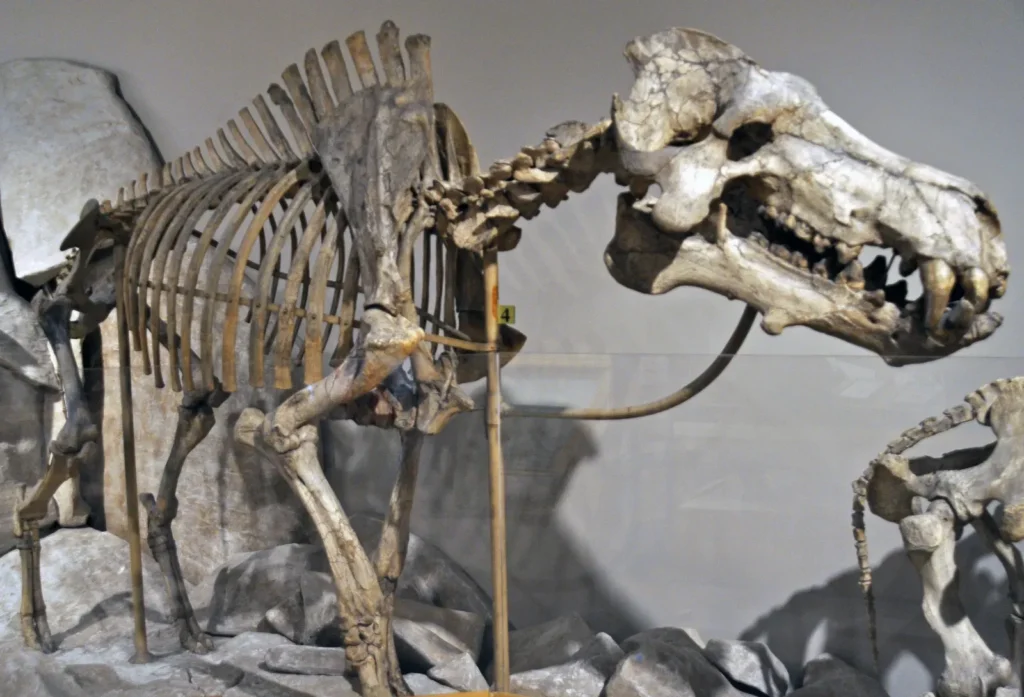 9 Fascinating Adaptations That Allowed Prehistoric Mammals to Thrive