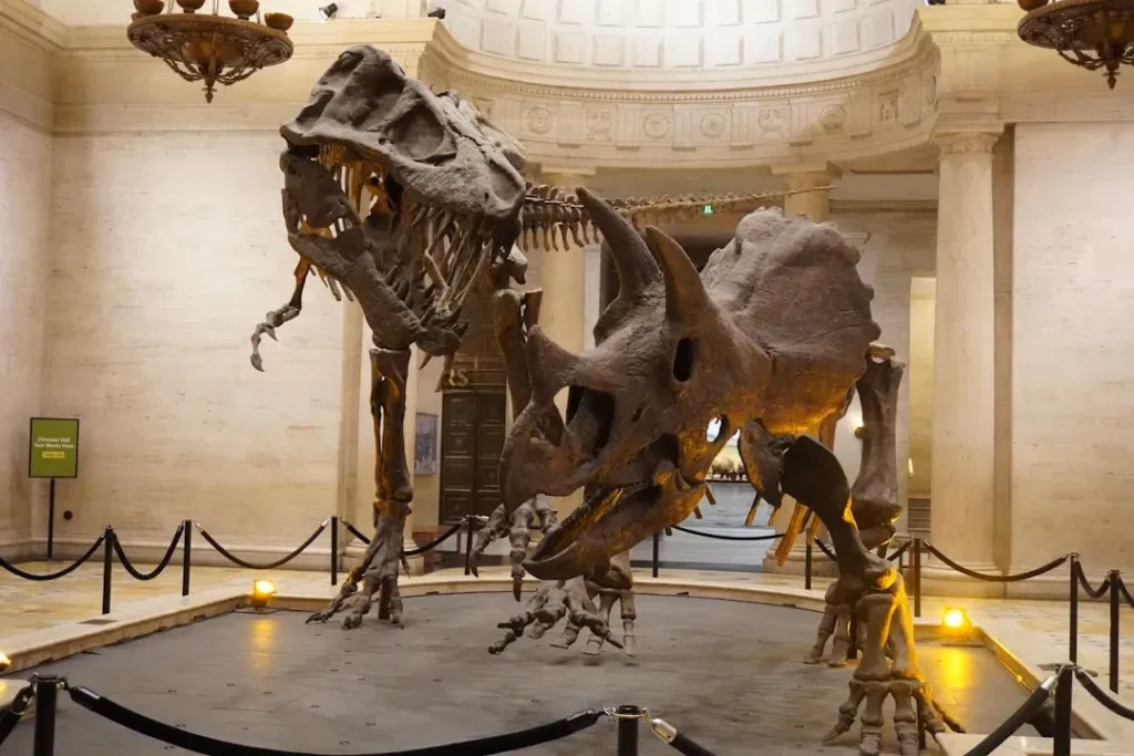 The Secret Lives of Dinosaurs: What Their Bones Really Tell Us About Behavior