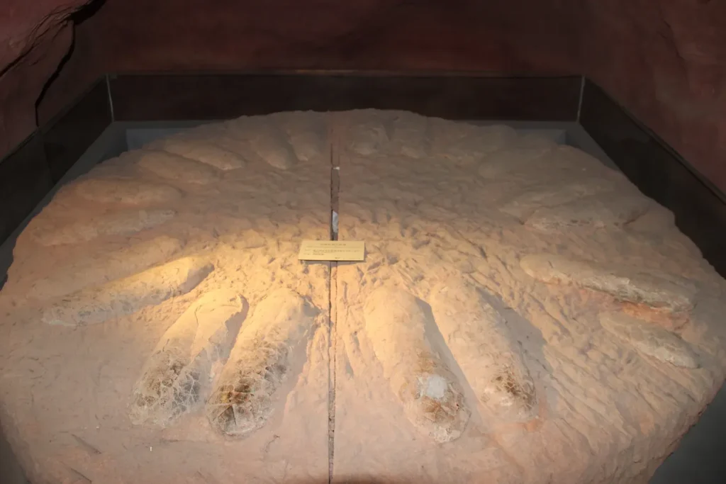 The Discovery of Dinosaur Eggs Revolutionized Our Understanding of Parenthood