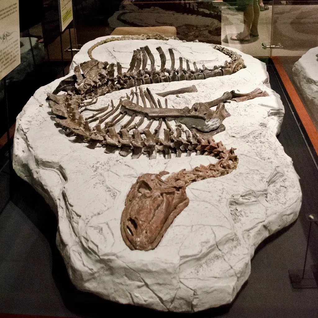 5 Fascinating Dinosaur Discoveries Made in the American West