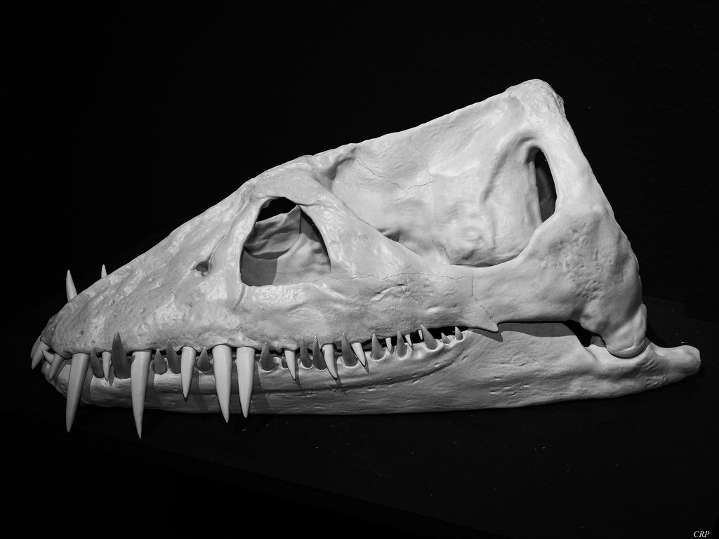 Ancient Bites Amplified by Mechanical Marvels