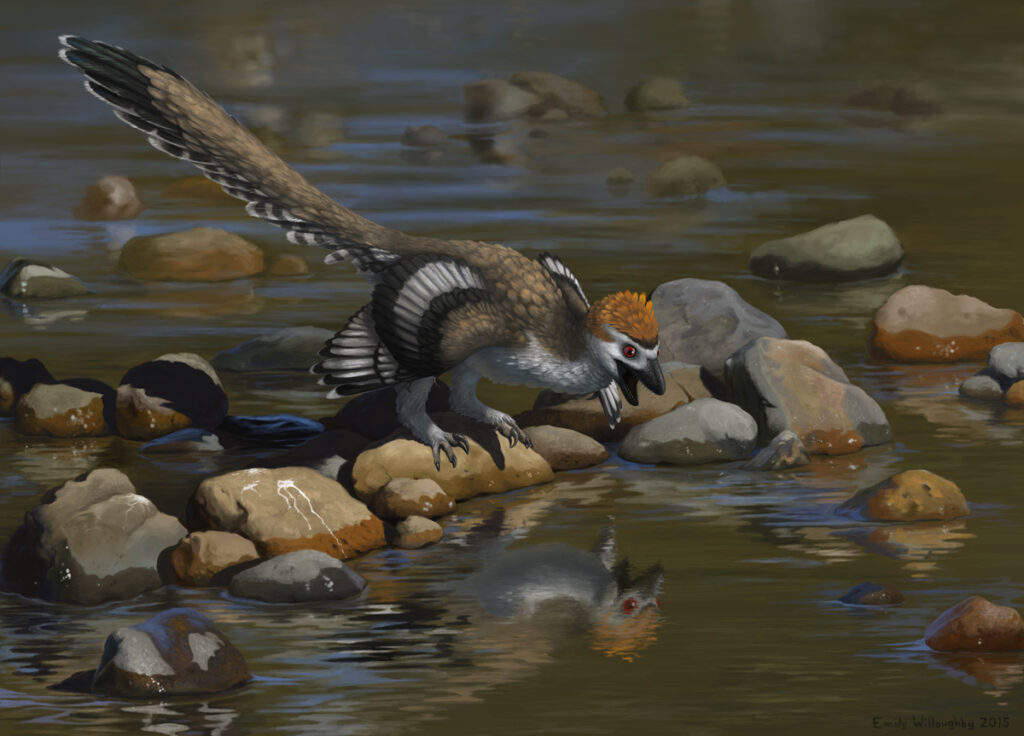 The Feathered Cousins That Tell Us More About Velociraptor