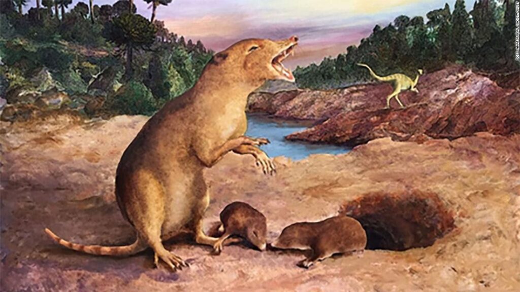 The Rise of Mammals After the Dinosaurs Was a Story of Adaptation