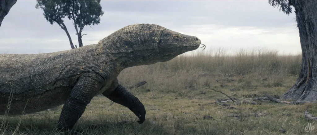 The Prehistoric World It Called Home