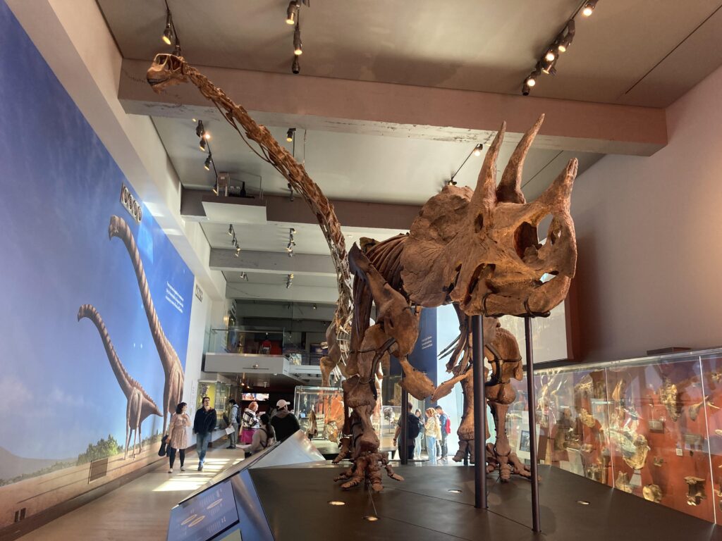 A Thrilling Launch Draws Dino Devotees