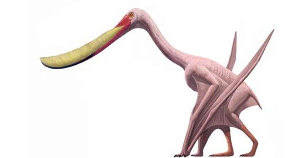 7. Pterodaustro – The Flamingo-Like Filter Feeder of Southern Skies