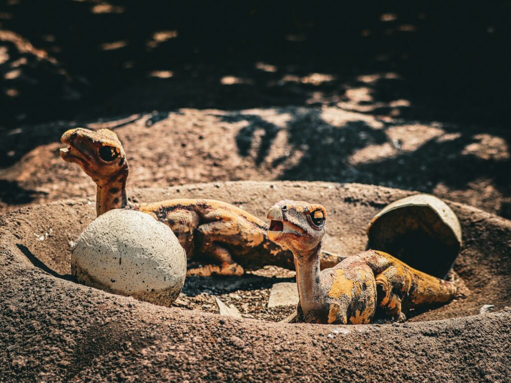 These 5 Zodiac Signs Share the Playful Curiosity of a Baby Dinosaur