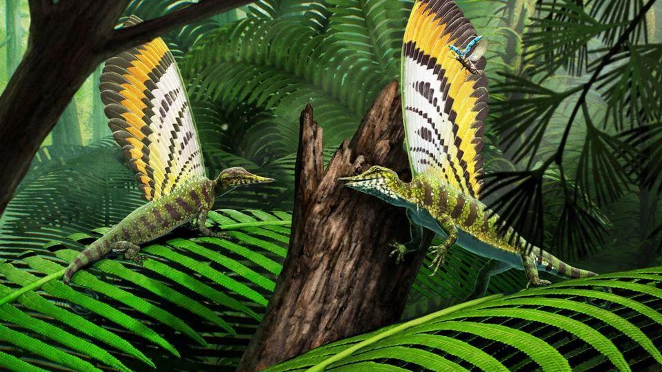 Mirasaura grauvogeli: Pushing the Origins of Feather-Like Structures Even Further Back