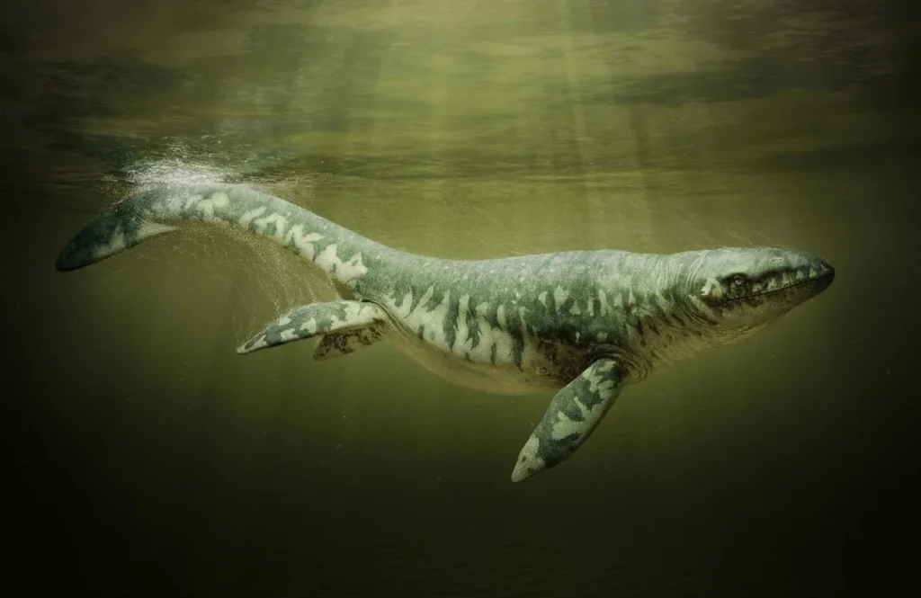 A Skull's Long Journey to Recognition