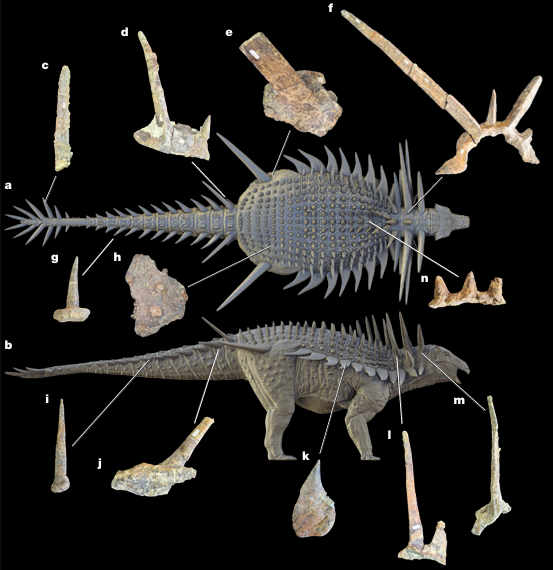 Spicomellus: The "Punk Rock Dinosaur" That Rewrote Armor Evolution