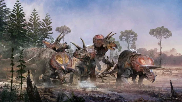 Triceratops: The Living Bulldozer Of The Cretaceous