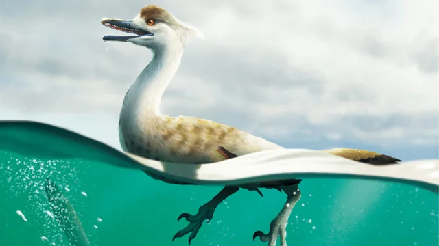 10 Fascinating Theories About Why Some Dinosaurs Developed Aquatic Adaptations