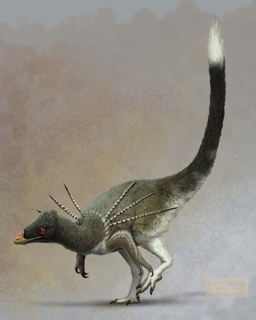 Ubirajara jubatus: South America's Ornately Decorated Surprise