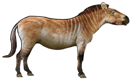 7. The American Horse: The Original Wild West Rider