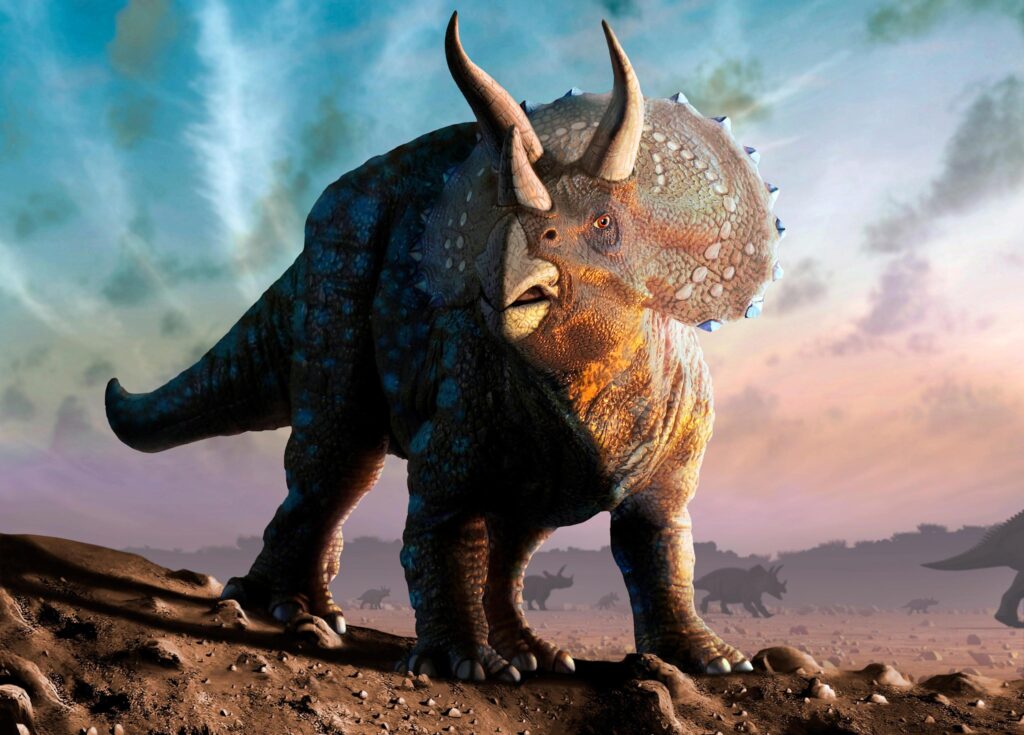Triceratops: Deep Bellows of Warning and Resolve