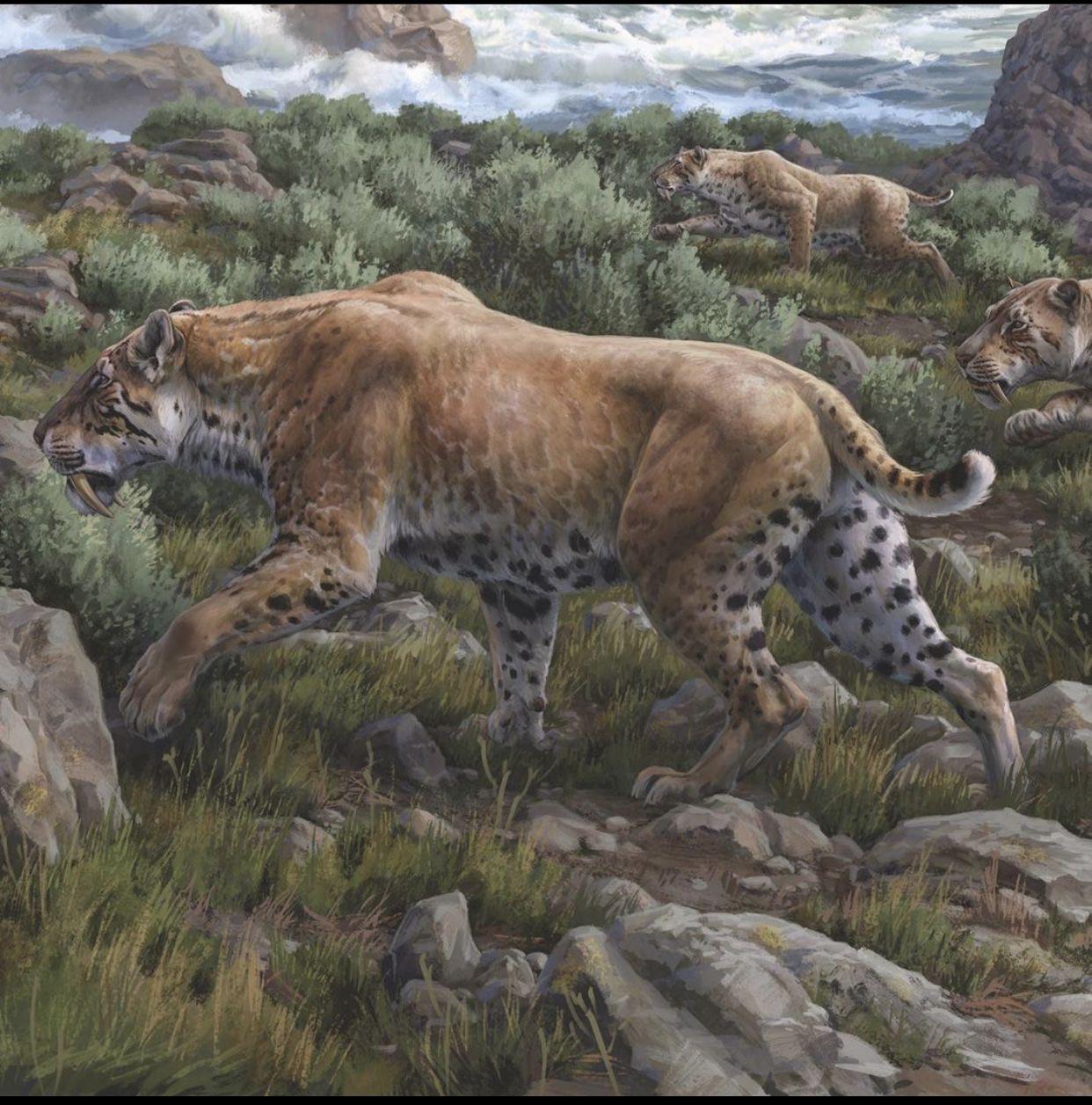 7. They may have lived and fed in complex social groups