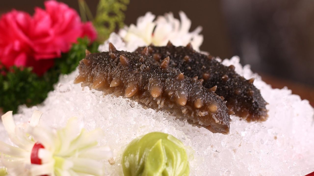 Global trade in sea cucumbers ‘alarming’ with many species at risk: Study
