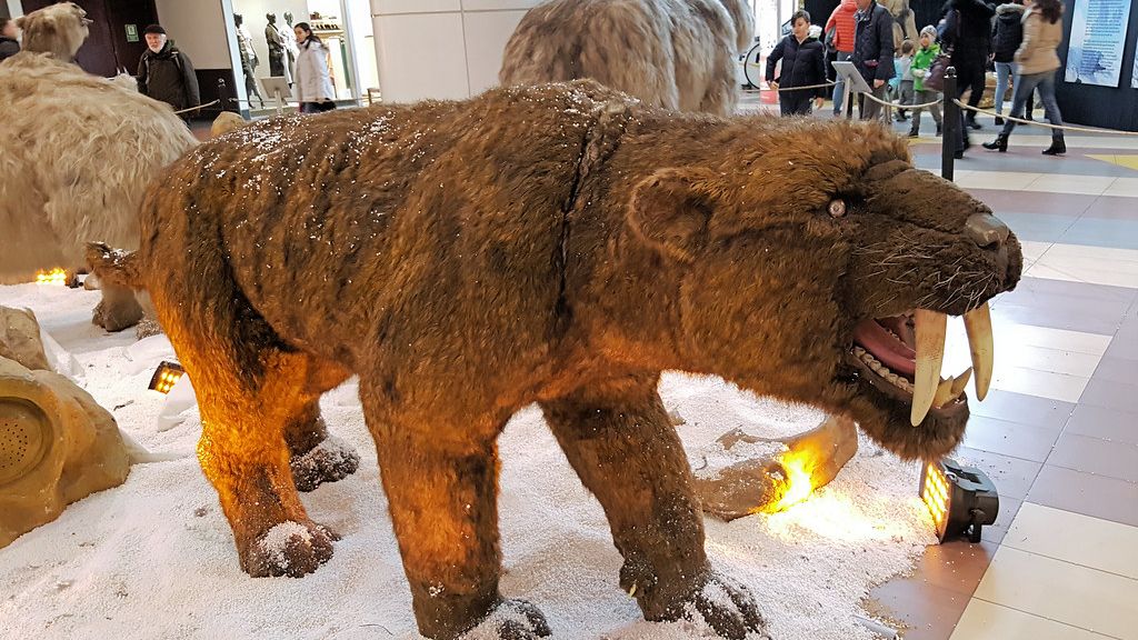 10 Prehistoric Creatures You Won't Believe Lived in Your Backyard