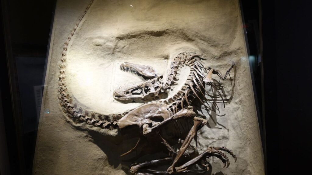 The Last Supper of a Dinosaur: What Paleontologists Found in Their Stomachs