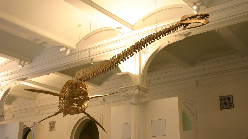 Unearthing the Giants: The Biggest Prehistoric Marine Reptiles Ever Found