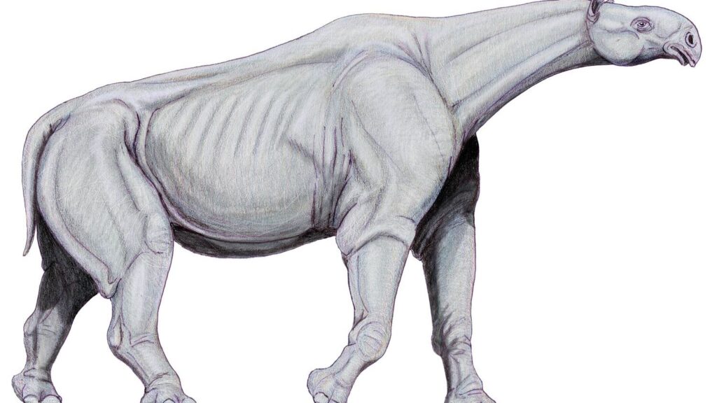 Prehistoric Giants: Discovering the Biggest Land Mammals Ever