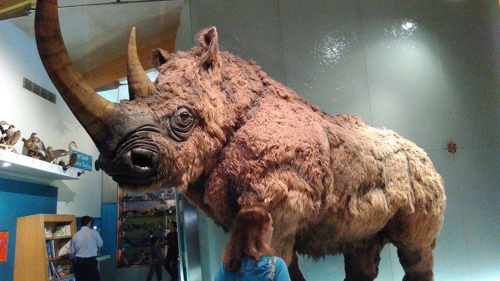 These 3 Zodiac Signs Hold the Unyielding Spirit of a Woolly Rhinoceros
