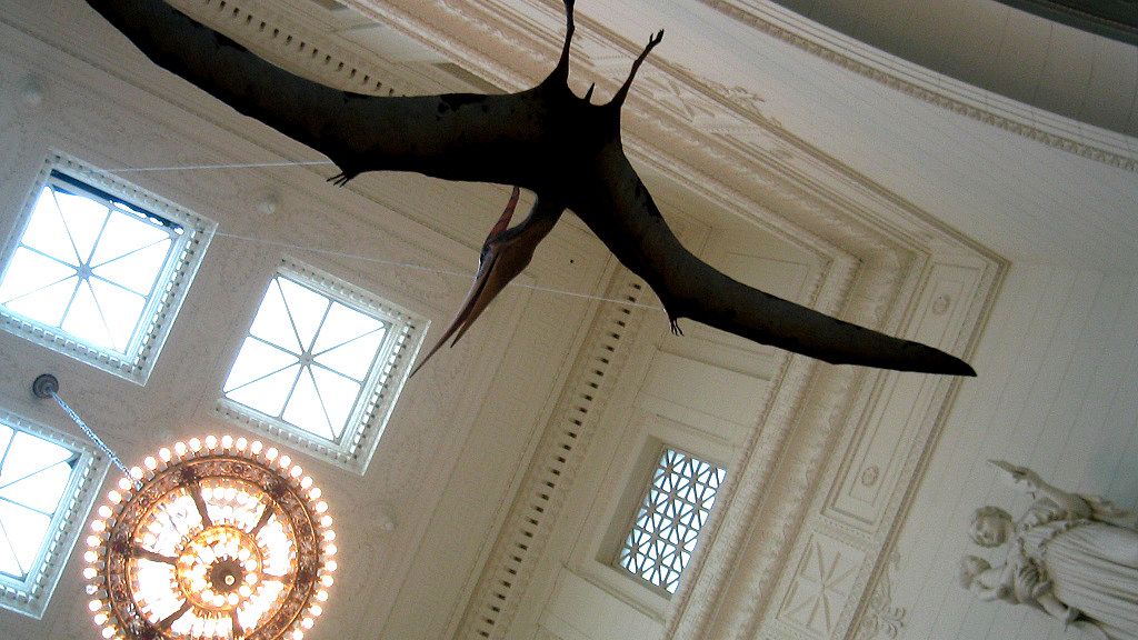 7 Zodiac Signs That Possess the Ancient Wisdom of the Pterodactyl's Flight