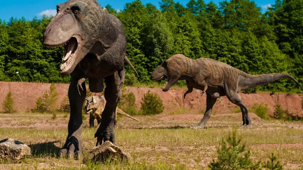 The True Story of the T-Rex: More Than Just a Fearsome Predator