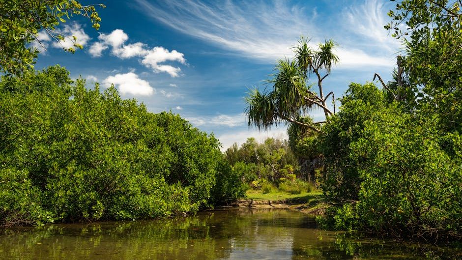 Ancient Earth's Hidden Wonders: Landscapes Dinosaurs Called Home