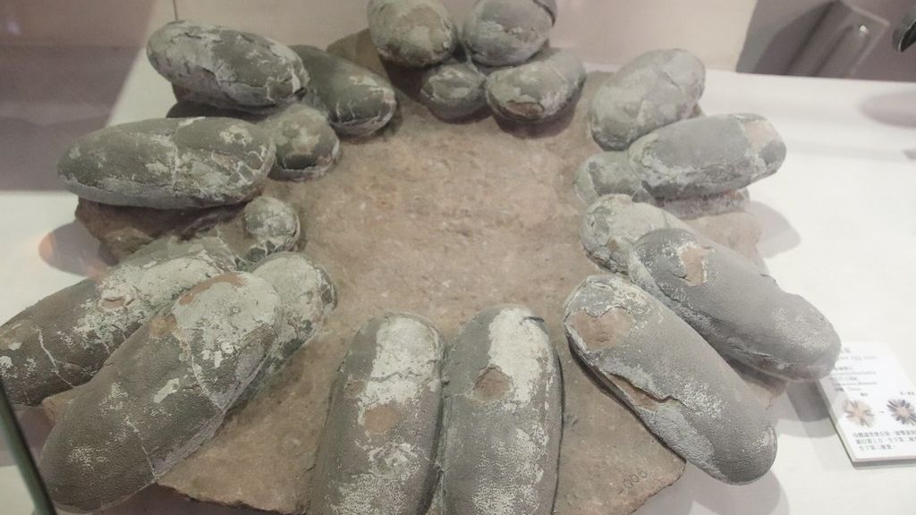 Dinosaur Eggs Reveal Surprising Insights into Prehistoric Parenting Styles
