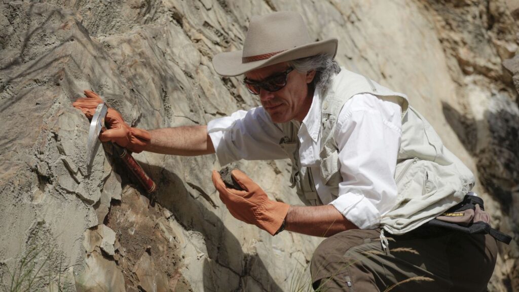 Which 3 Zodiac Signs Have the Curiosity of an Adventurous Paleontologist?