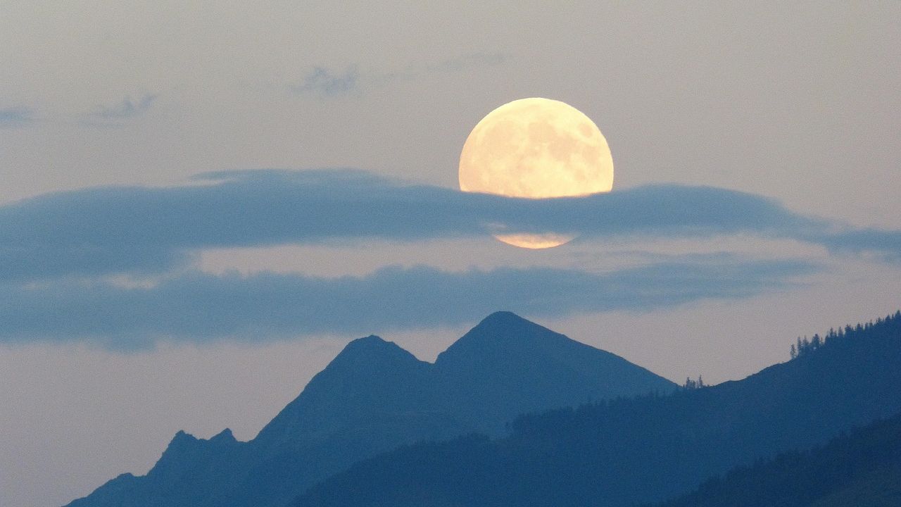 4 Zodiac Signs Are Being Blessed By The Universe On Friday, May 8