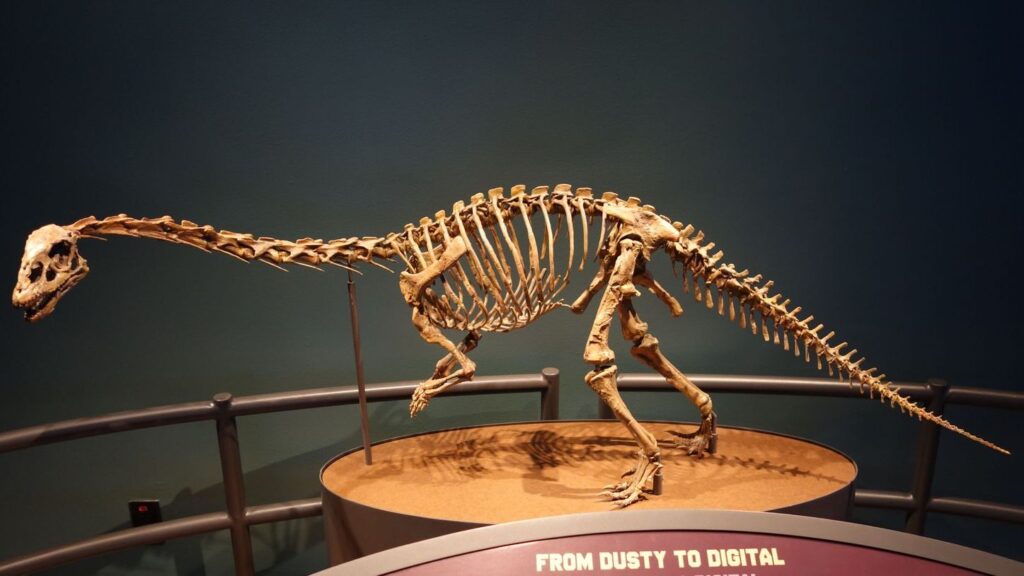 Early Sauropodomorph Dinosaur Unearthed in China