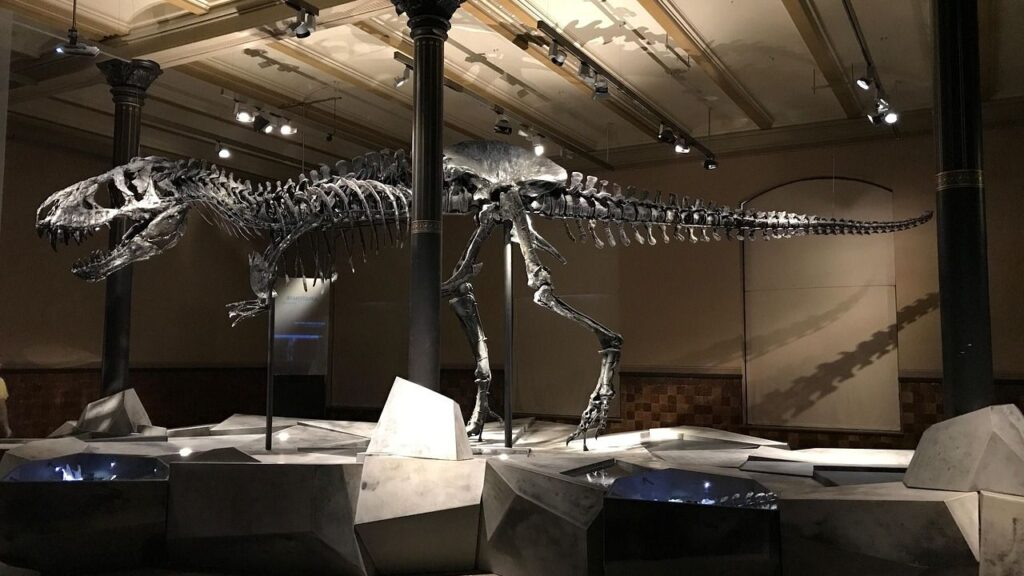 Dinosaurs may have originated 10 million years earlier than thought