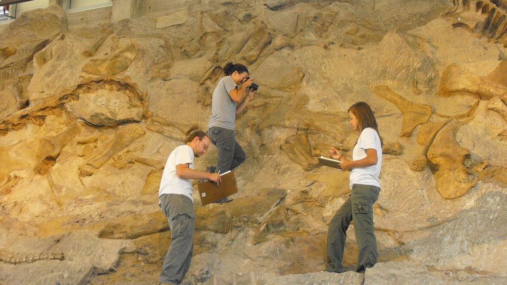Dinosaur Fossils Are Still Being Discovered in Unexpected Places Today