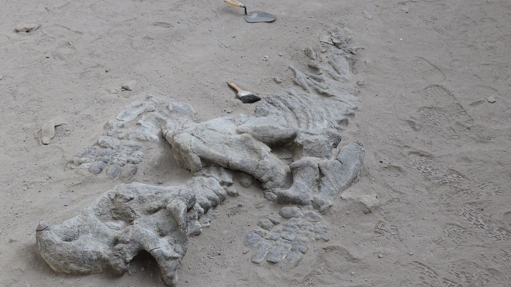 When Dinosaurs Roamed Your State: Hidden Fossils Across America