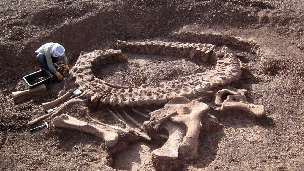Unearthing North America's Lost Giants: Amazing Dinosaur Discoveries in Your Backyard