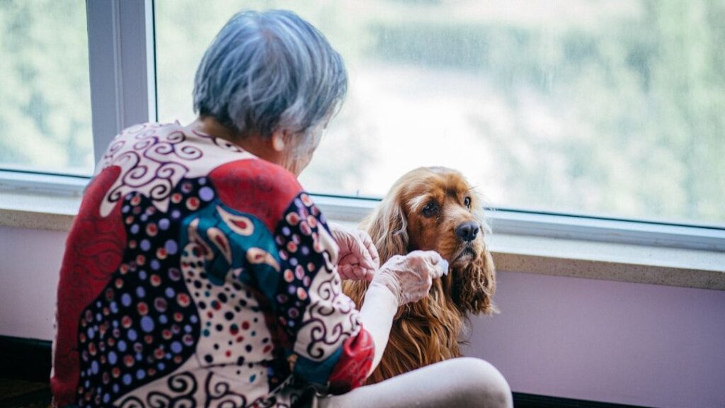 Pets Slow Age-Related Cognitive Decline – May Reduce Dementia Risk