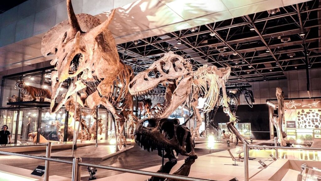5 Iconic Dinosaur Fossils Unearthed in Your Favorite American States