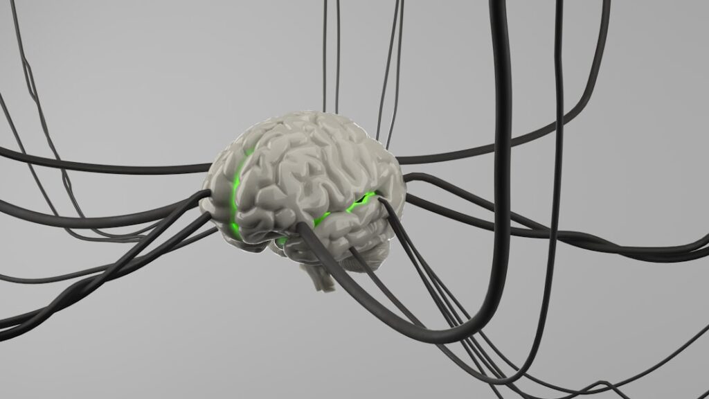 Why Your Brain Struggles So Much To Multitask (M)