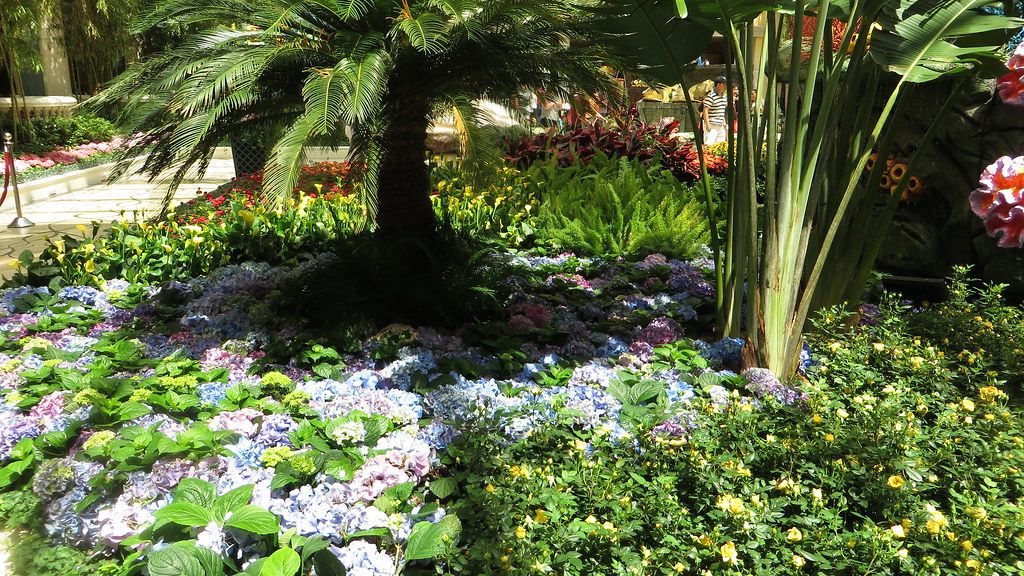 What Kind of Garden Matches Your Zodiac Sign