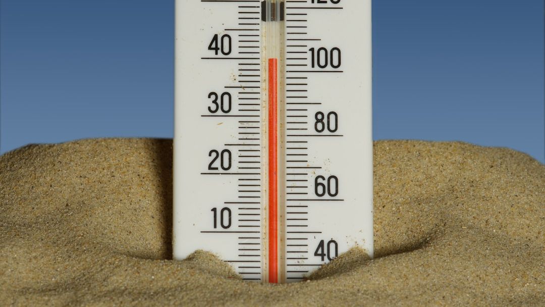 Summerlike heat wave to bring potential record highs to DC region