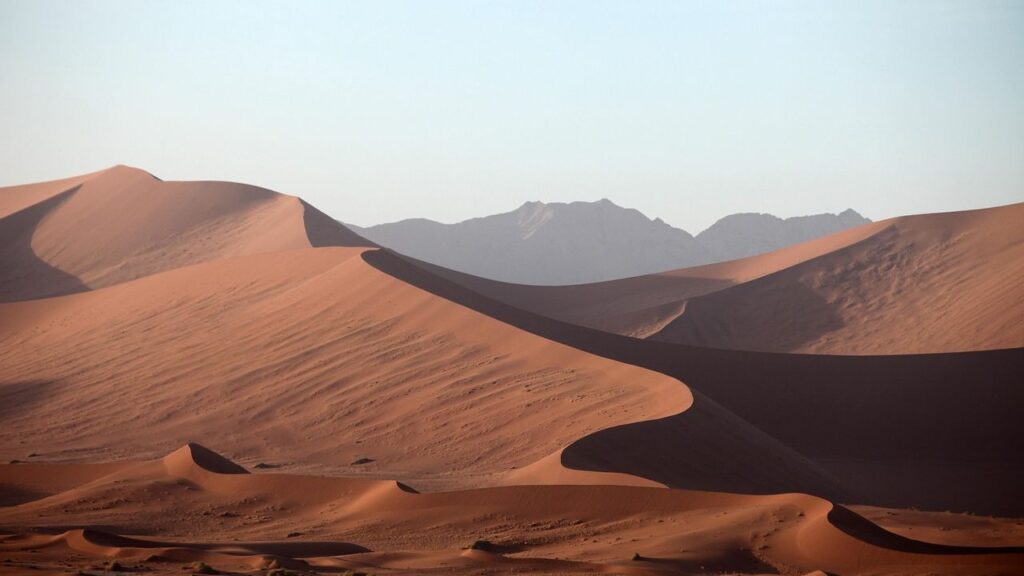 'We kept finding large, circular mass graves' in the Sahara predating the ancient Egyptians, archaeologists report