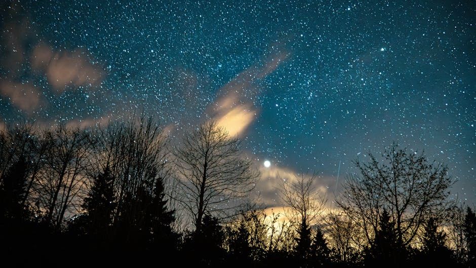 Which Type of Forest Reflects Your Zodiac Sign’s Personality